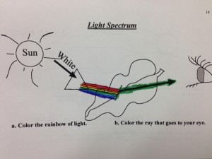 Serena Spectrum Light Sketch